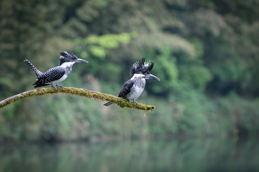 Essential Travel Strategies for Planning Memorable Experiences Image 1