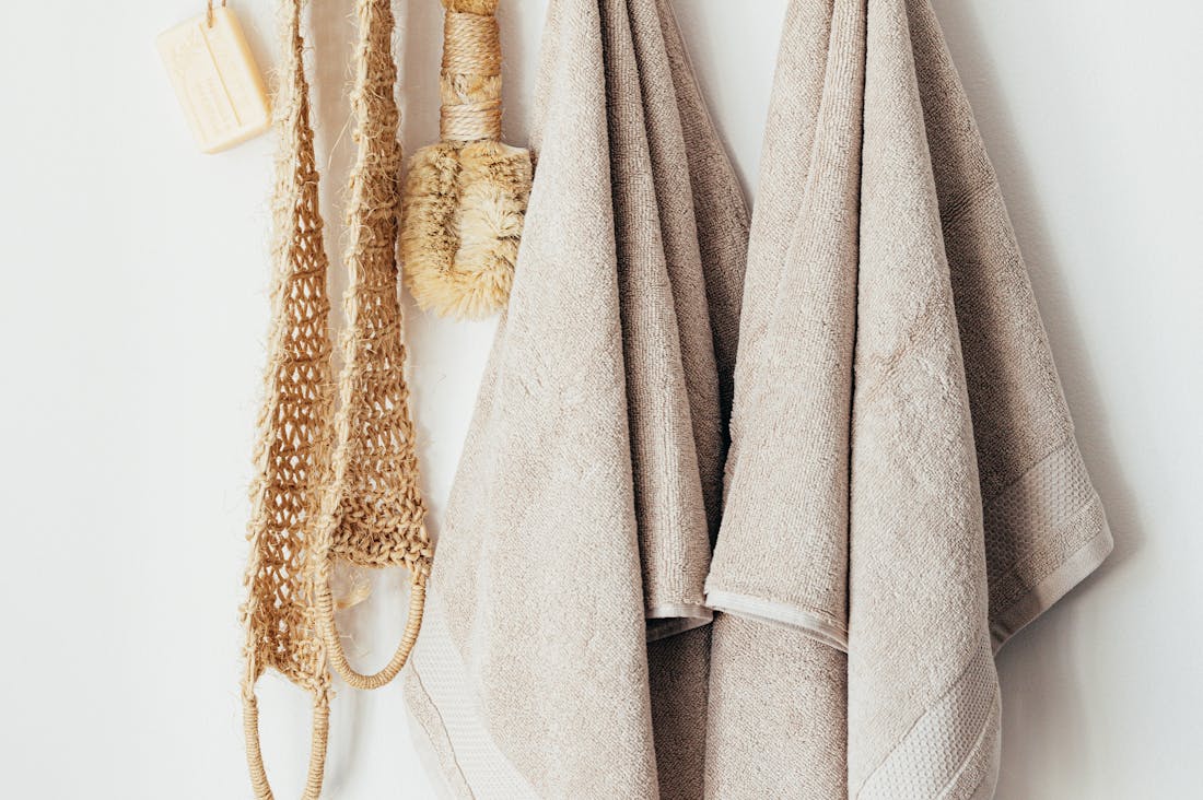 Essentials for a Sustainable Lifestyle: Small Changes with Big Impact Image 1