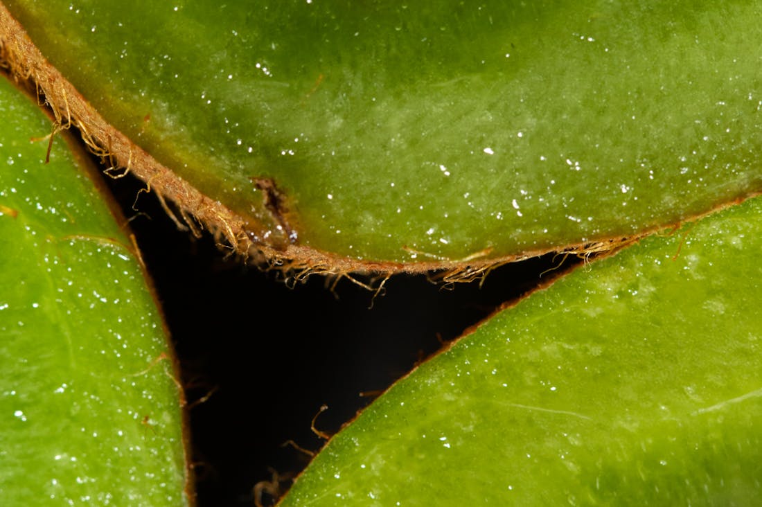 Evolving Lifestyle Choices for Sustainable Living Image 3