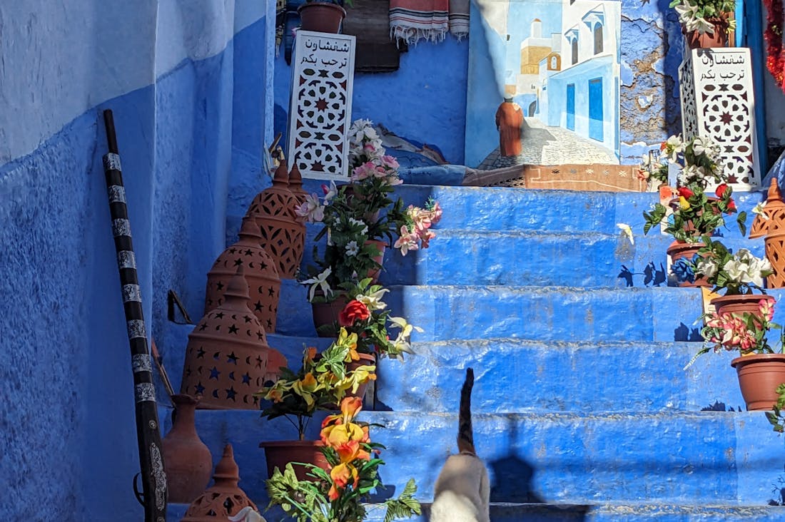 Experiential Travel Ideas to Broaden Your Horizons Image 1