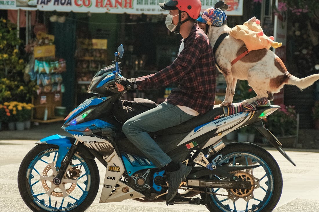 Exploring Authentic Travel Experiences: Why Meaningful Journeys Enrich Our Lives Image 2