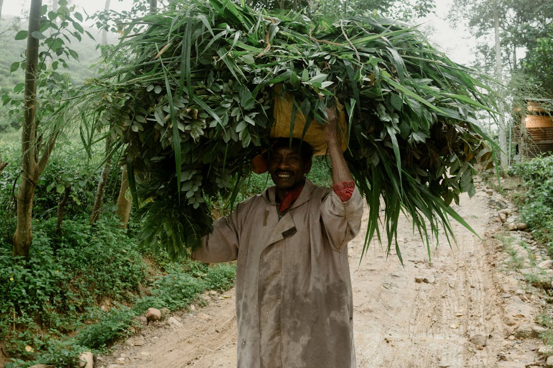 Exploring Cultural Landscapes: A Journey Through the World’s Hidden Travel Gems Image 3