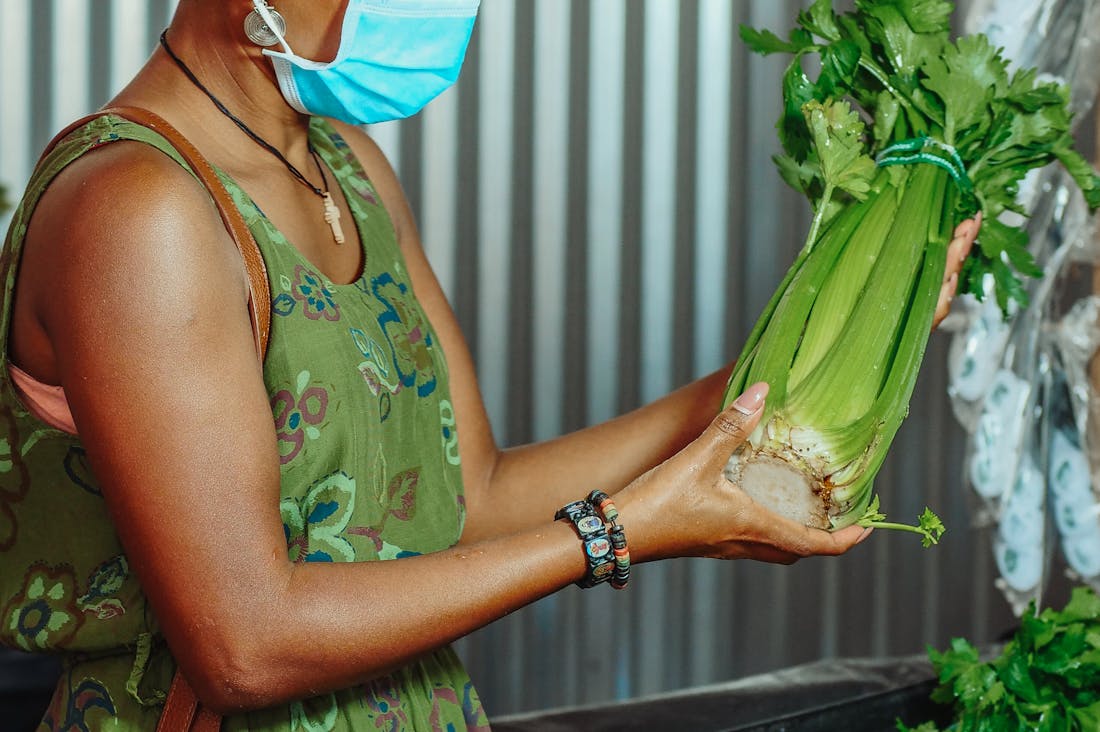 Exploring Eco-Friendly Travel: Making Sustainable Choices on Your Next Adventure