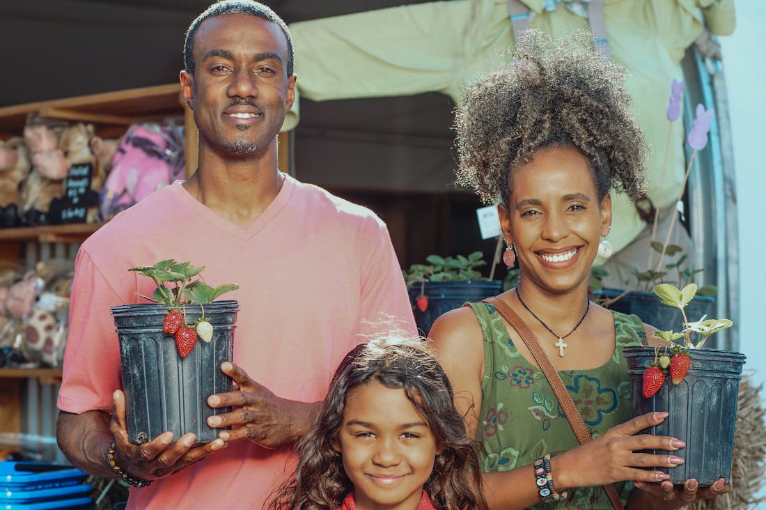 Exploring Eco-Friendly Travel: Sustainable Choices for Your Next Adventure Image 3