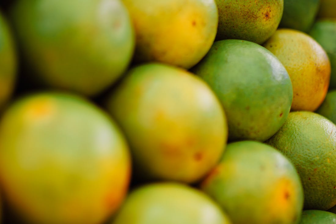 Exploring Holistic Health: Integrating Mindfulness, Nutrition, and Fitness for Well-Being Image 2