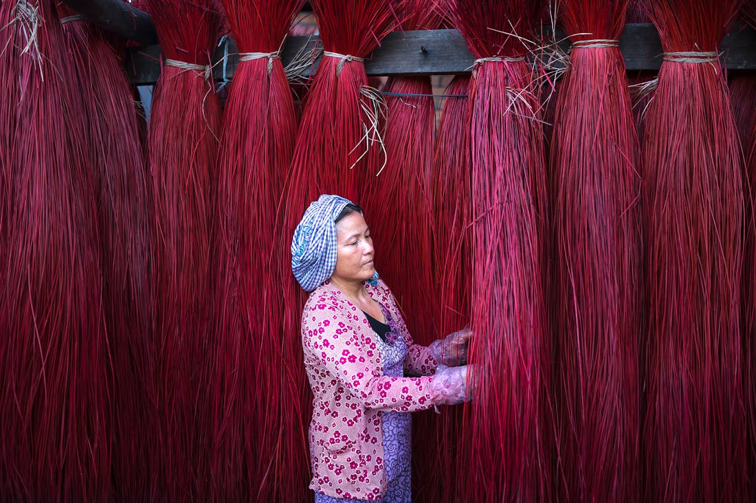 Exploring Holistic Health: Natural Remedies for Everyday Ailments Image 2