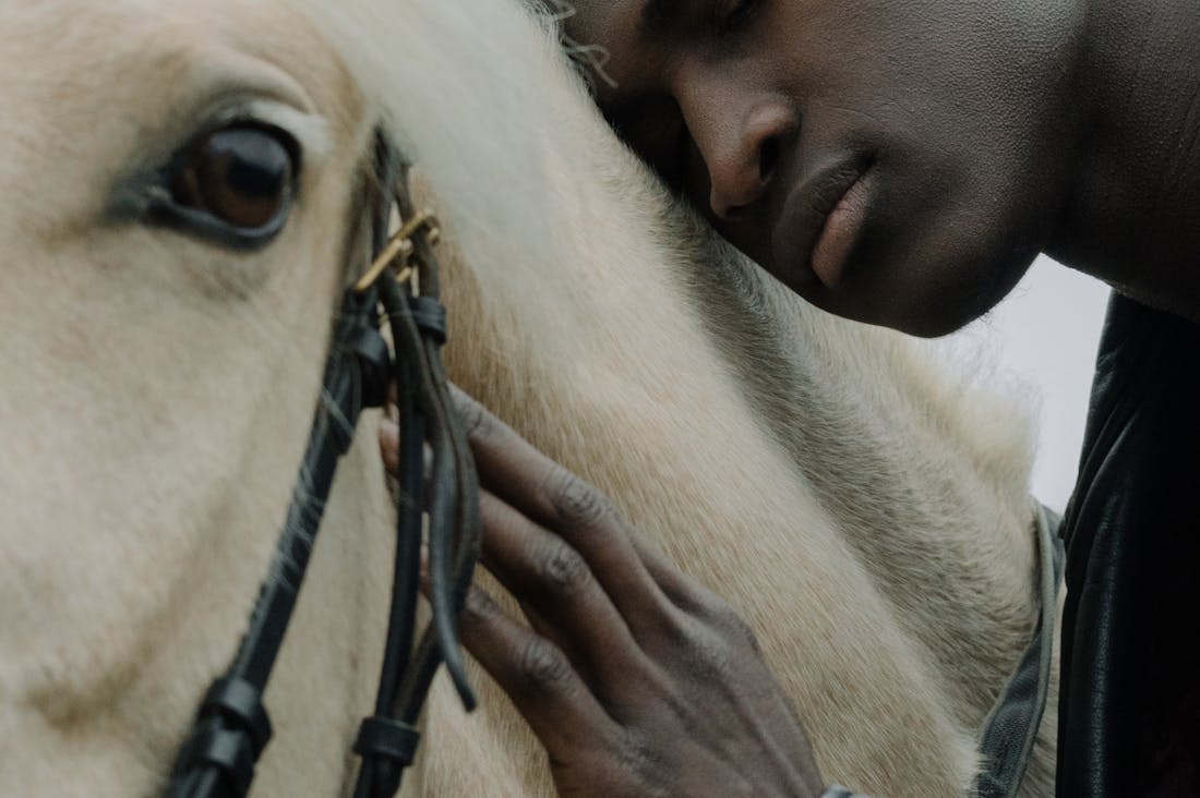 Exploring Natural Remedies: Unlocking the Secrets of Holistic Health for Better Wellbeing Image 1