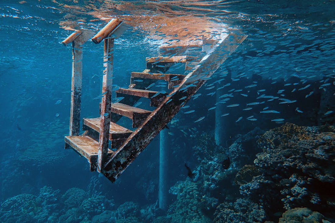 Exploring New Horizons: A Guide to Immersive Travel Experiences That Transform Lives Image 1