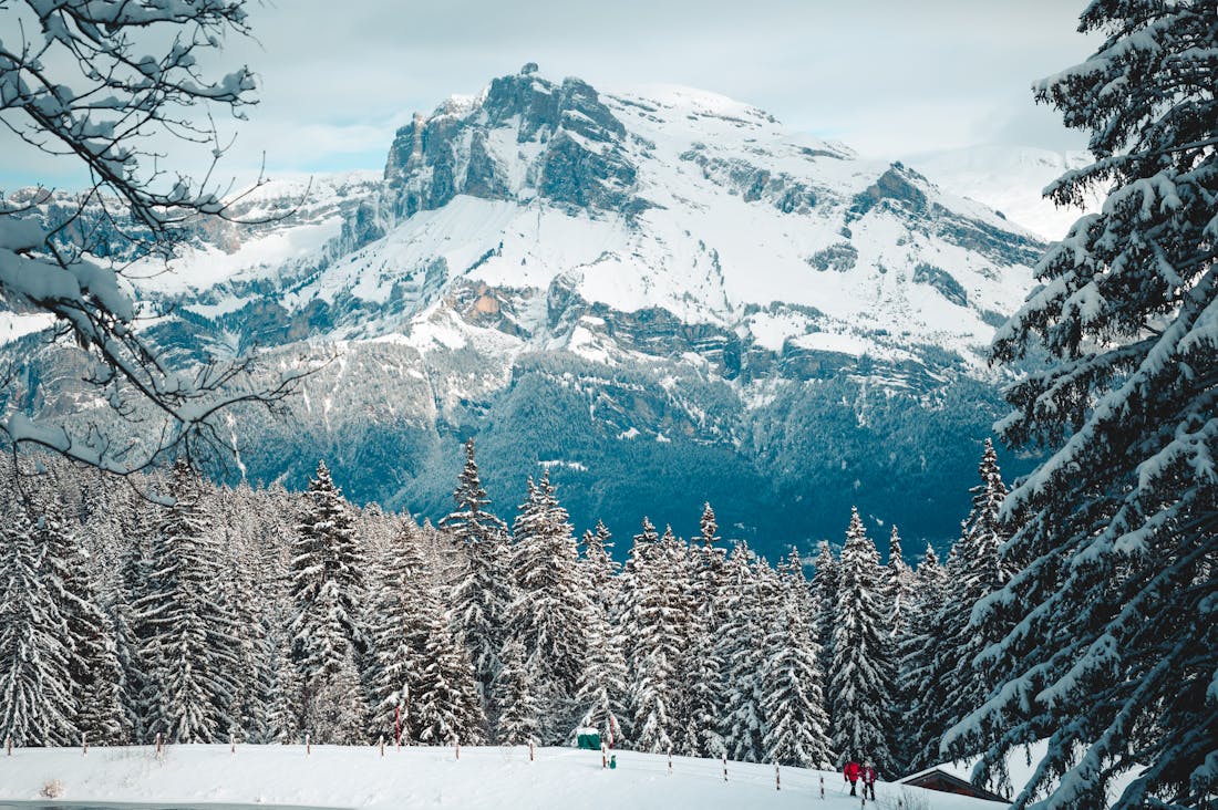 Exploring Sustainable Travel: Mindful Choices for the Eco-Conscious Explorer Image 2