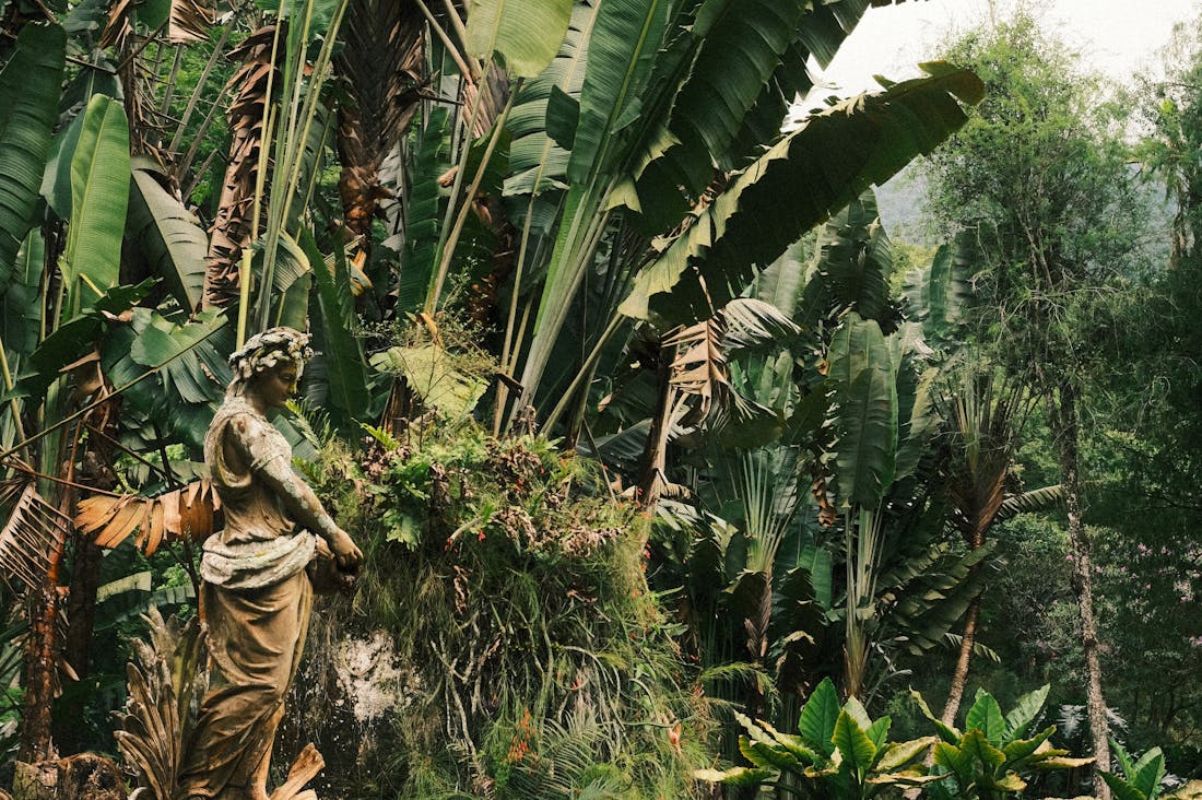 Exploring the Art of Minimalism to Enhance Your Living Space Image 3