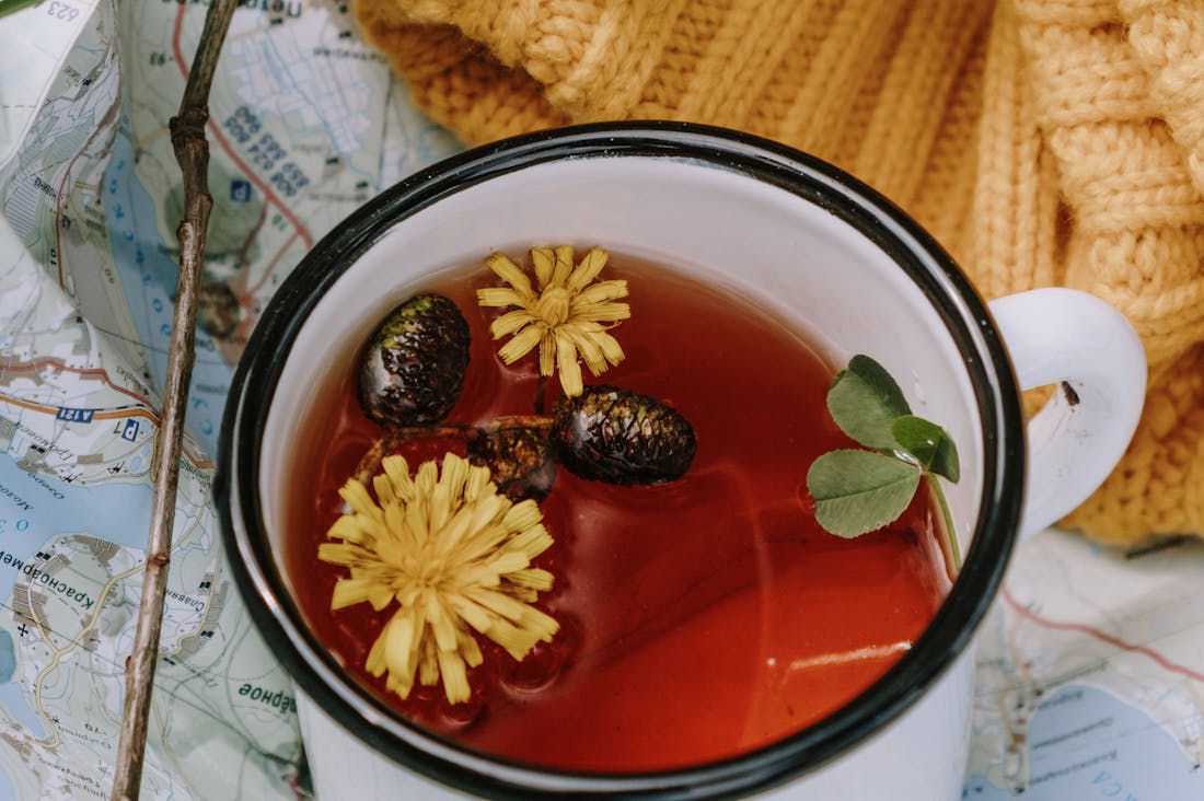 Exploring the Connection Between Travel and Mental Health: How Adventures Enhance Your Mind Image 1