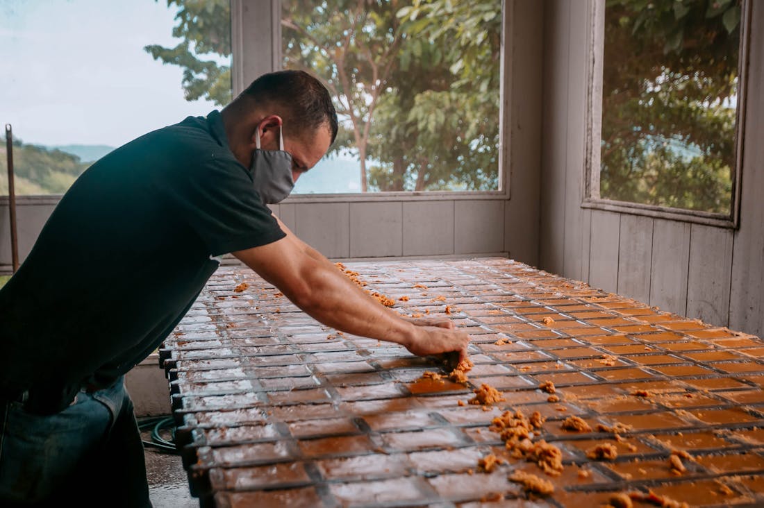 Exploring the Future of Sustainable Auto Technology: Innovations Driving Green Change Image 2