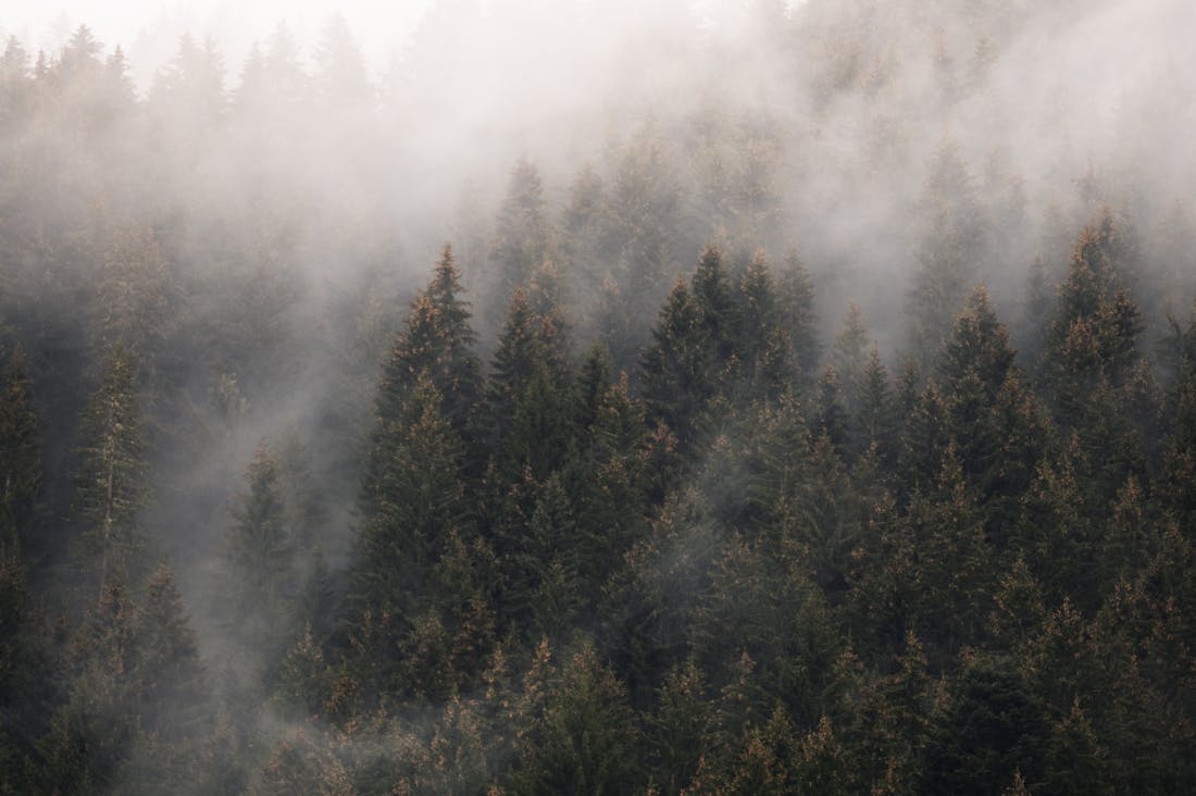 Exploring the Future of Sustainable Travel: Eco-Friendly Destinations, Green Technologies, and Conscious Choices Image 2