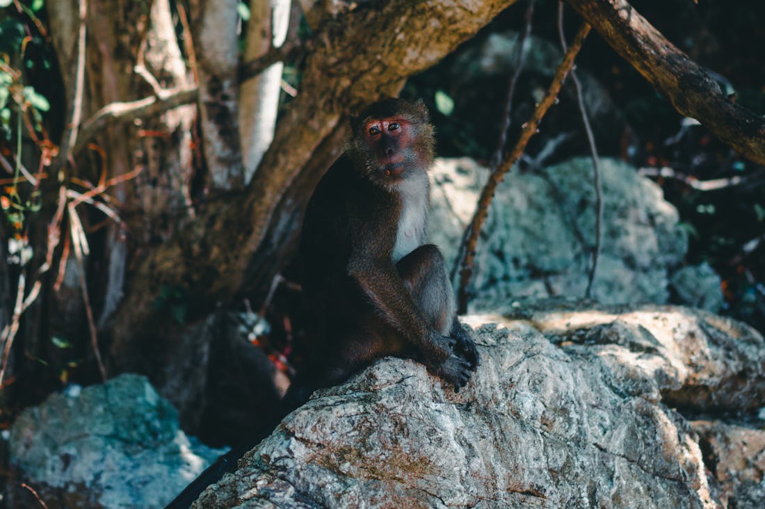 Exploring the Future of Sustainable Travel: How Eco-Conscious Choices Shape Our Adventures Image 2