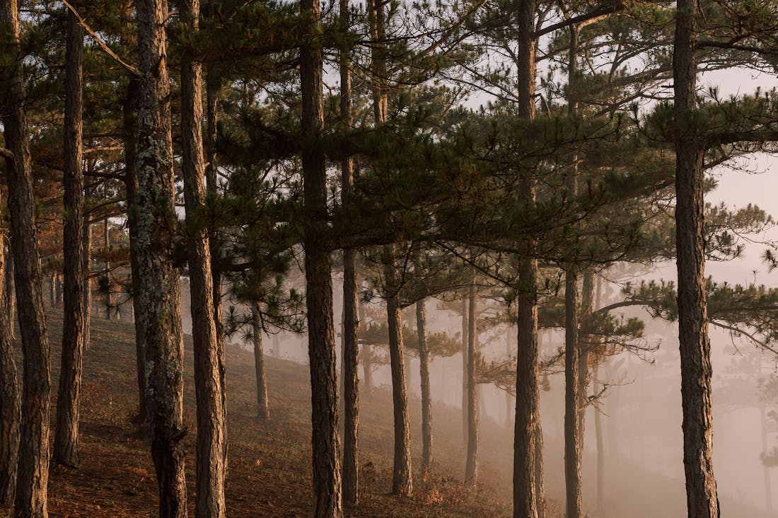 Exploring the Healing Power of Travel: Journeys that Nurture Mind and Body Image 3