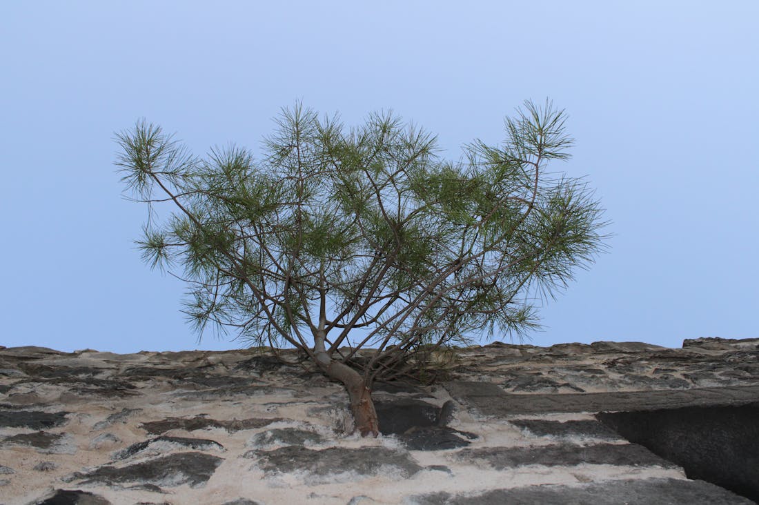 Exploring the Health Benefits of Travel: Why Stepping Out of Your Comfort Zone Boosts Well-Being Image 2