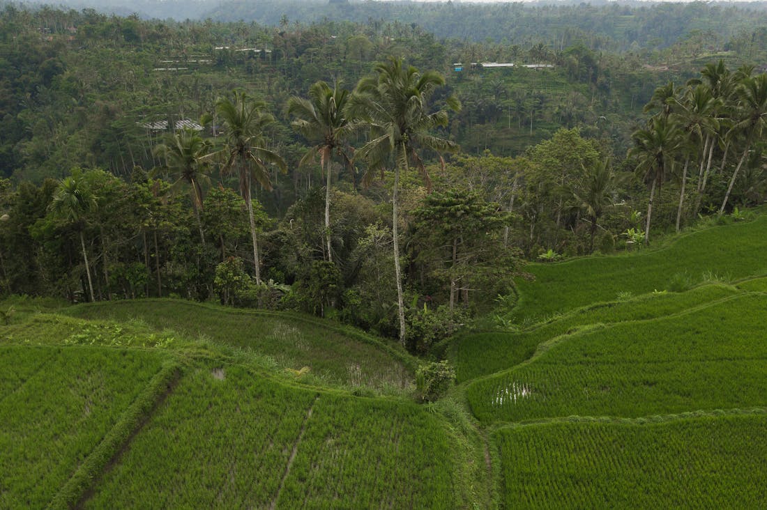 Exploring the Hidden Gems of Sustainable Travel for the Conscious Explorer Image 2