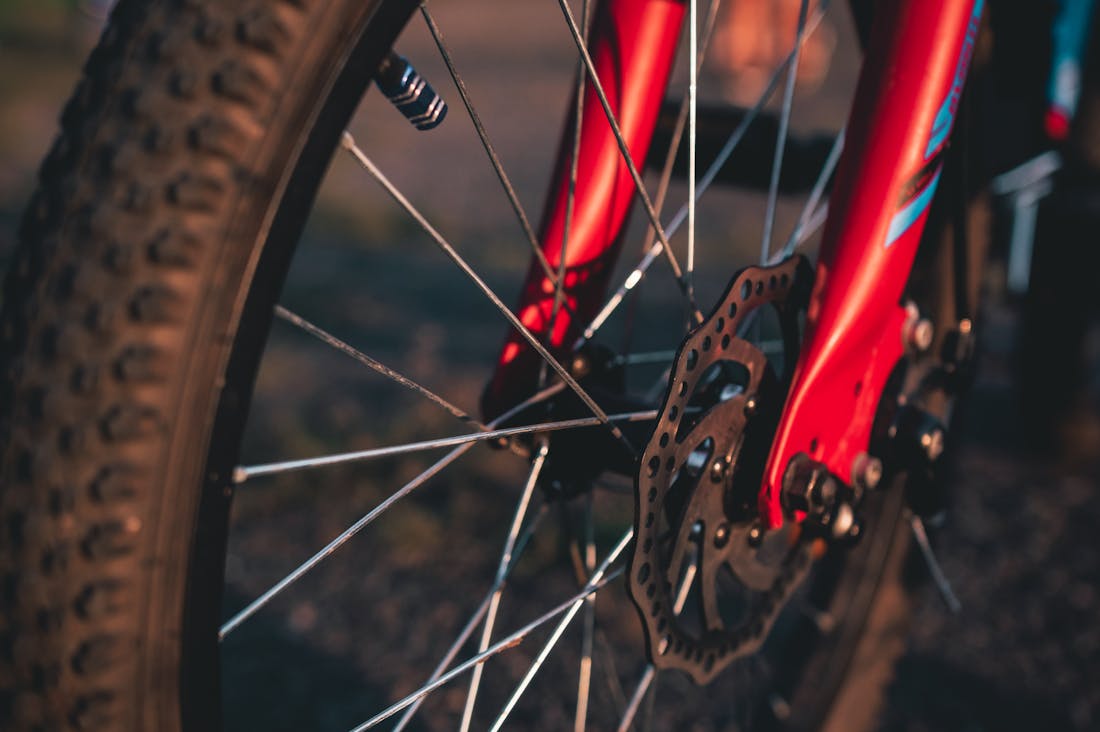 Exploring the Intersection of Auto and Lifestyle: Making Smart Choices Image 1