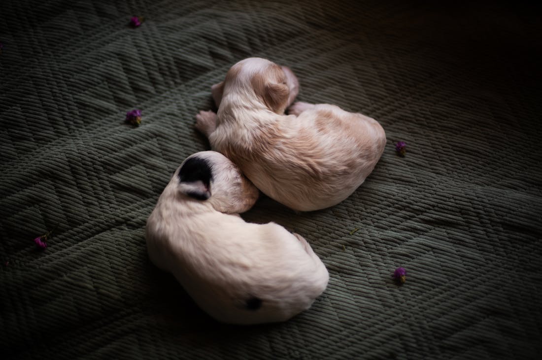 Exploring the Intersection of Mental Health and Technology: How Innovation is Shaping Our Well-being Image 2