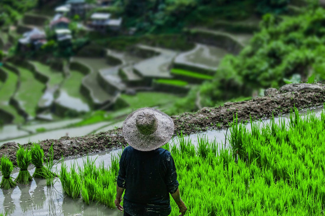 Exploring the Intersection of Sustainable Travel and Cultural Immersion for a Meaningful Journey Image 1