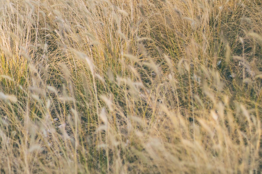 Exploring the Intersection of Travel and Culture: How to Enrich Your Adventures Image 3