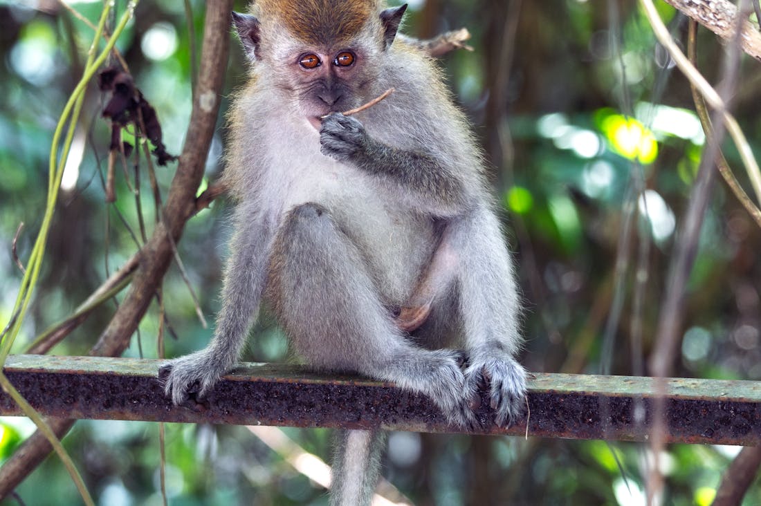 Exploring the Intersection of Travel and Wellness: How to Rejuvenate Your Mind and Body on the Road Image 2