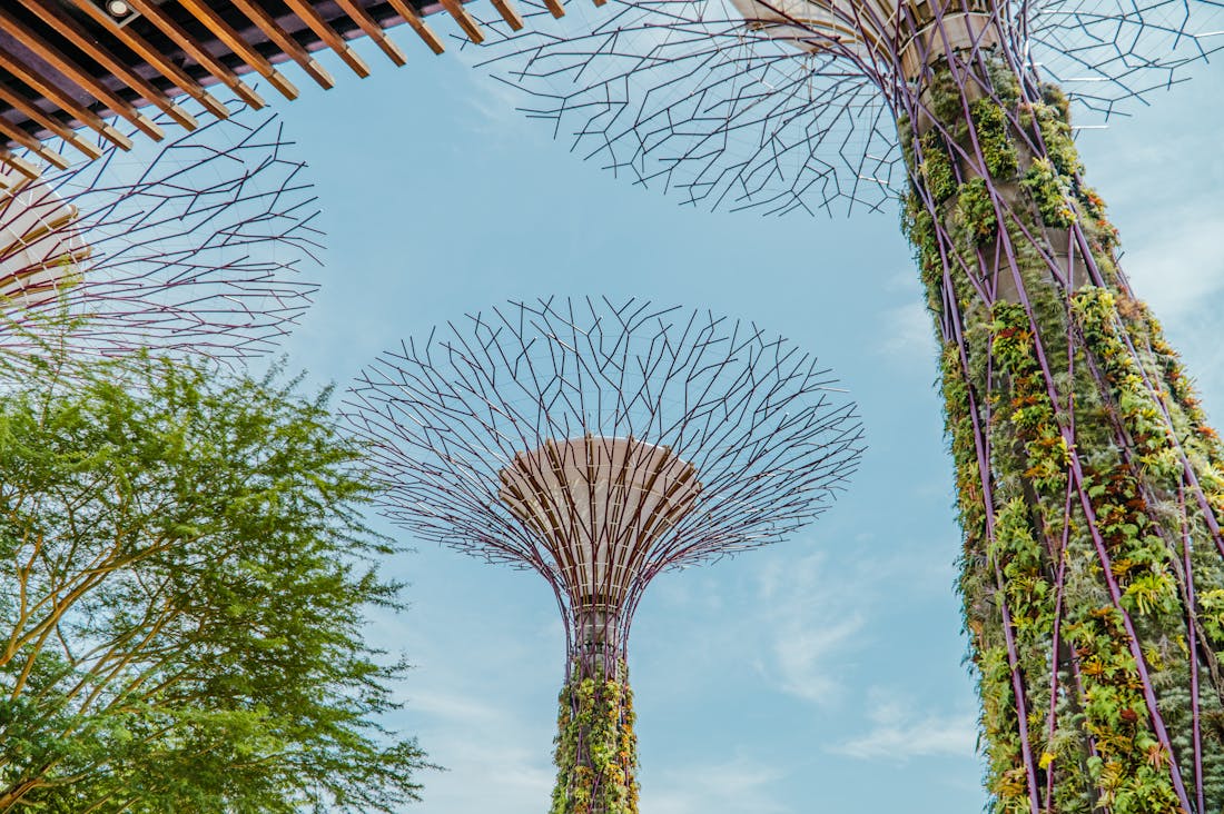 Exploring the Joys of Sustainable Travel: How to Experience the World Responsibly Image 3