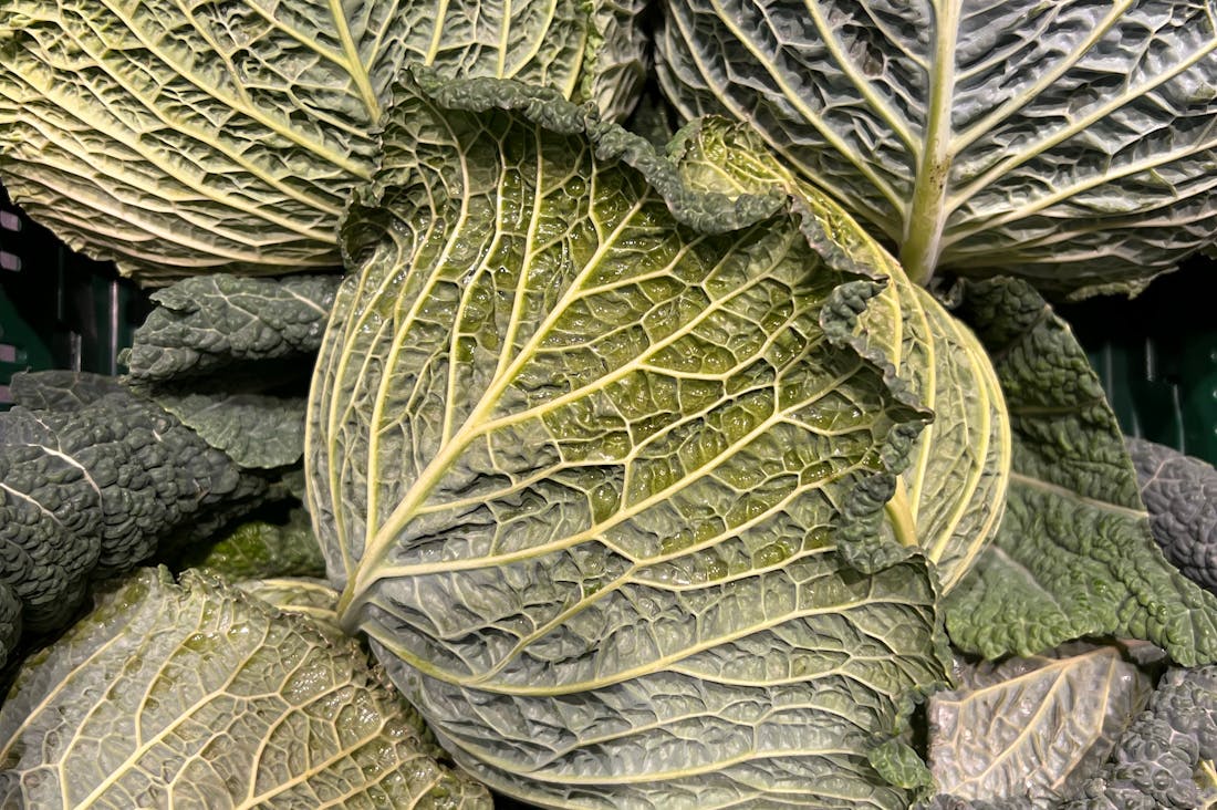 Exploring the Secrets of Plant-Based Nutrition: How to Nourish Your Body Naturally Image 1