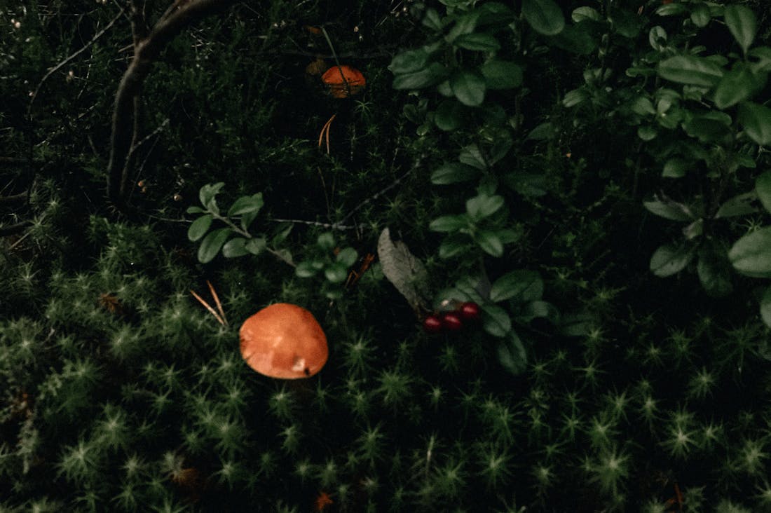 Exploring the Unseen Wonders of Travel: Transformative Experiences Off the Beaten Path Image 2