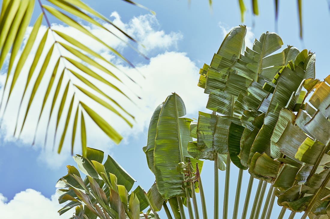 Exploring the Wonders of Eco-Friendly Travel: Tips for Sustainable Adventures Image 2