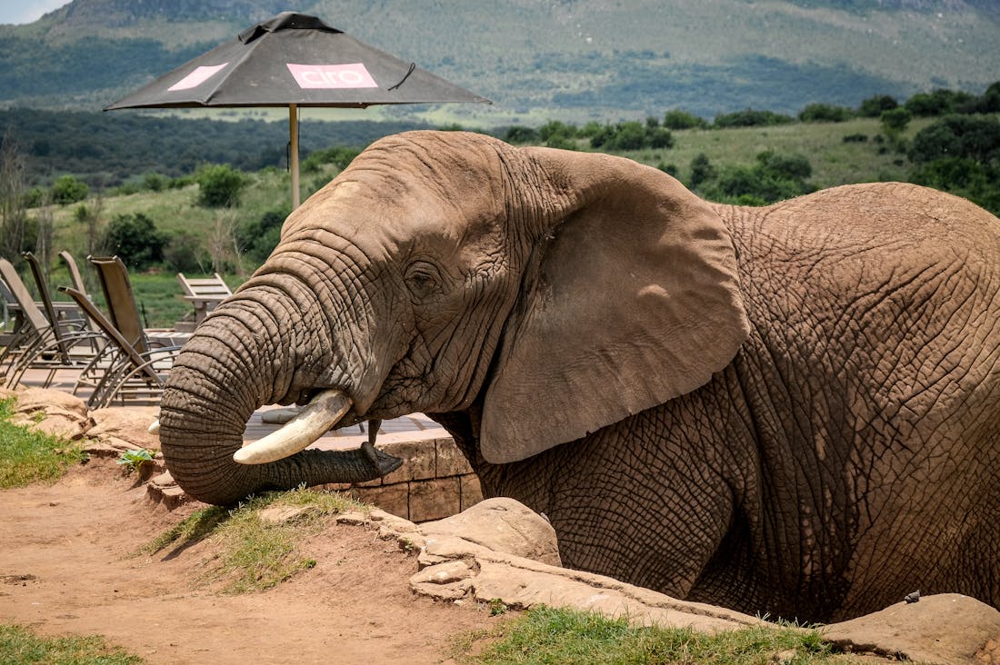 Exploring the Wonders of Sustainable Travel: How to See the World While Protecting It Image 3