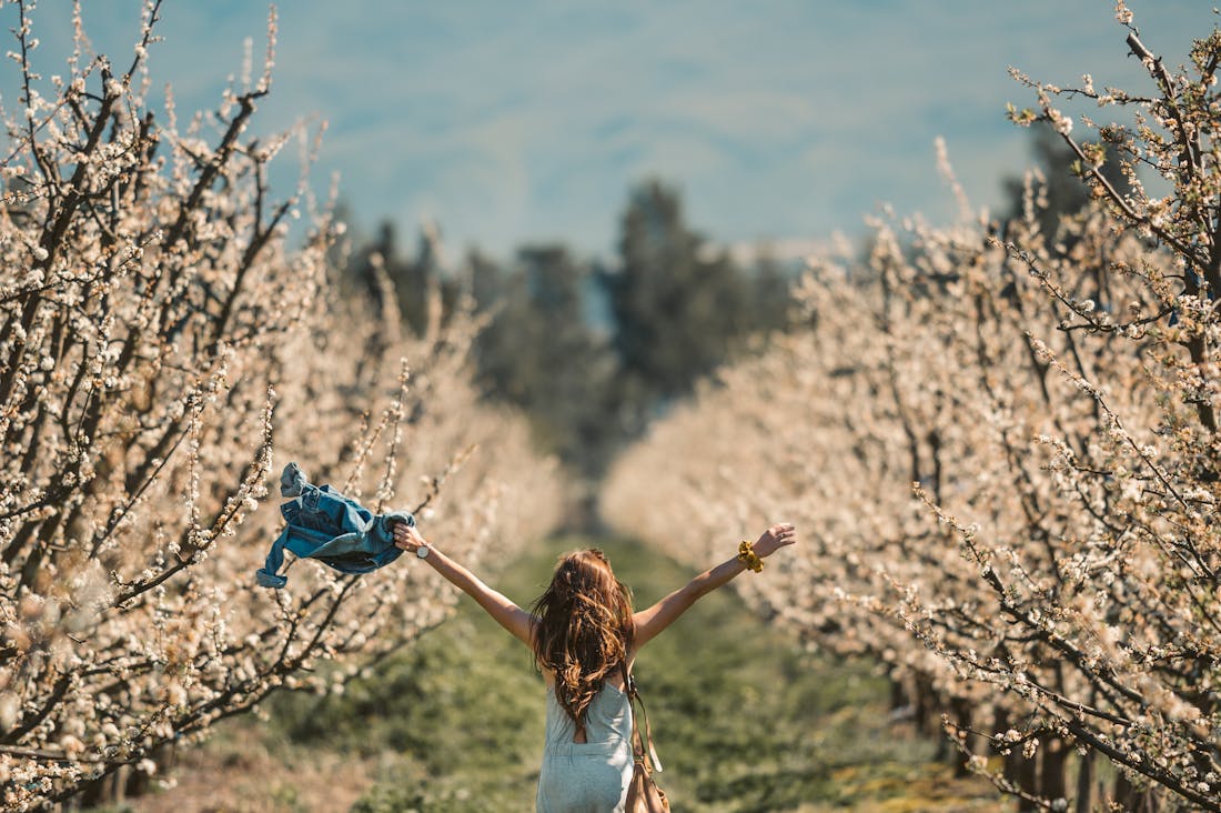 Exploring the World: How Travel Enriches Our Lives and Broadens Our Perspectives Image 3