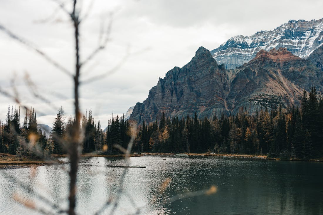 Exploring Travel Through the Lens of Sustainability: Eco-Friendly Practices for the Conscious Traveler Image 2