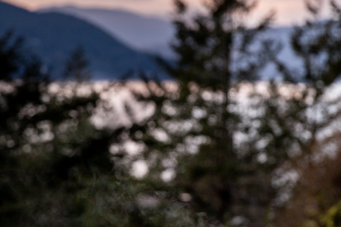 Exploring Travel Trends: How to Make the Most of Your Adventures in a Post-Pandemic World Image 2