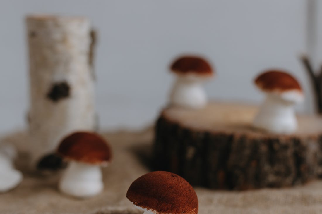 Financial Freedom: A Comprehensive Guide to Budgeting, Investing, and Building Wealth for a Brighter Future Image 1