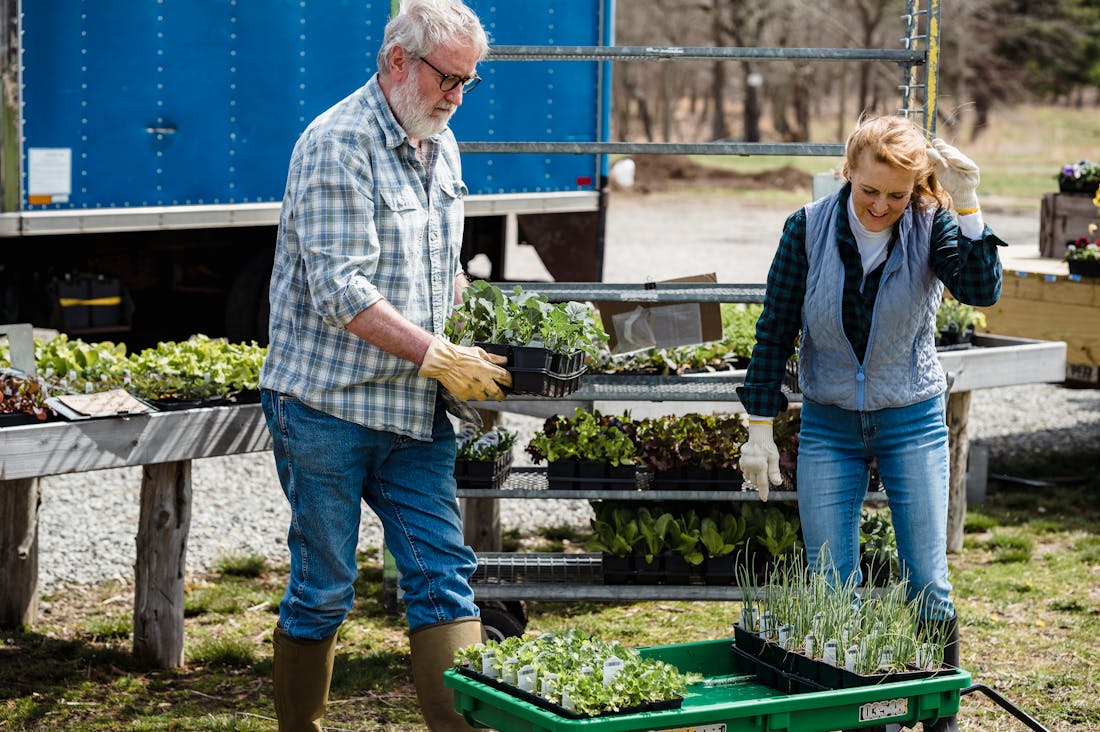 Financial Freedom: Cultivating Mindfulness for Healthier Spending Habits and Personal Fulfillment Image 2