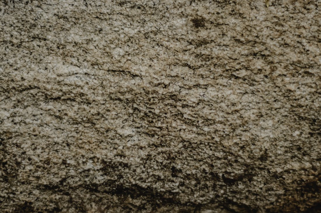 Financial Freedom: Strategies for Managing Your Money Wisely in Today’s Economy Image 1