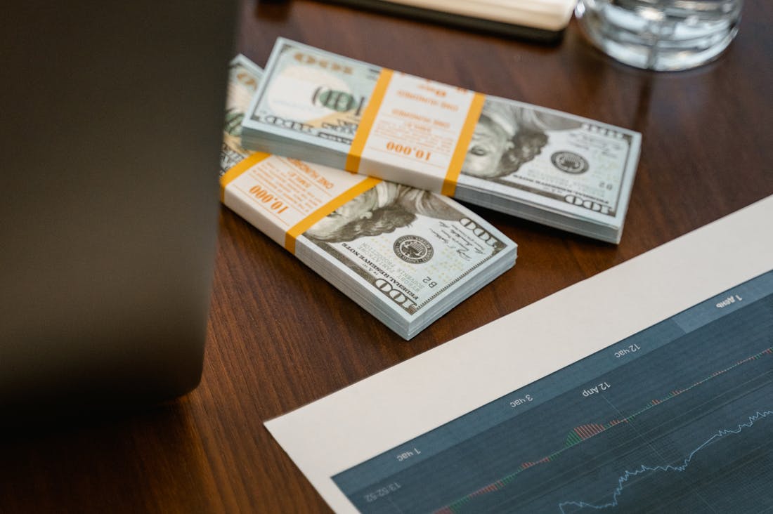 Financial Freedom: Strategies for Sustainable Wealth Management, Budgeting, and Investment in the Modern Era Image 1