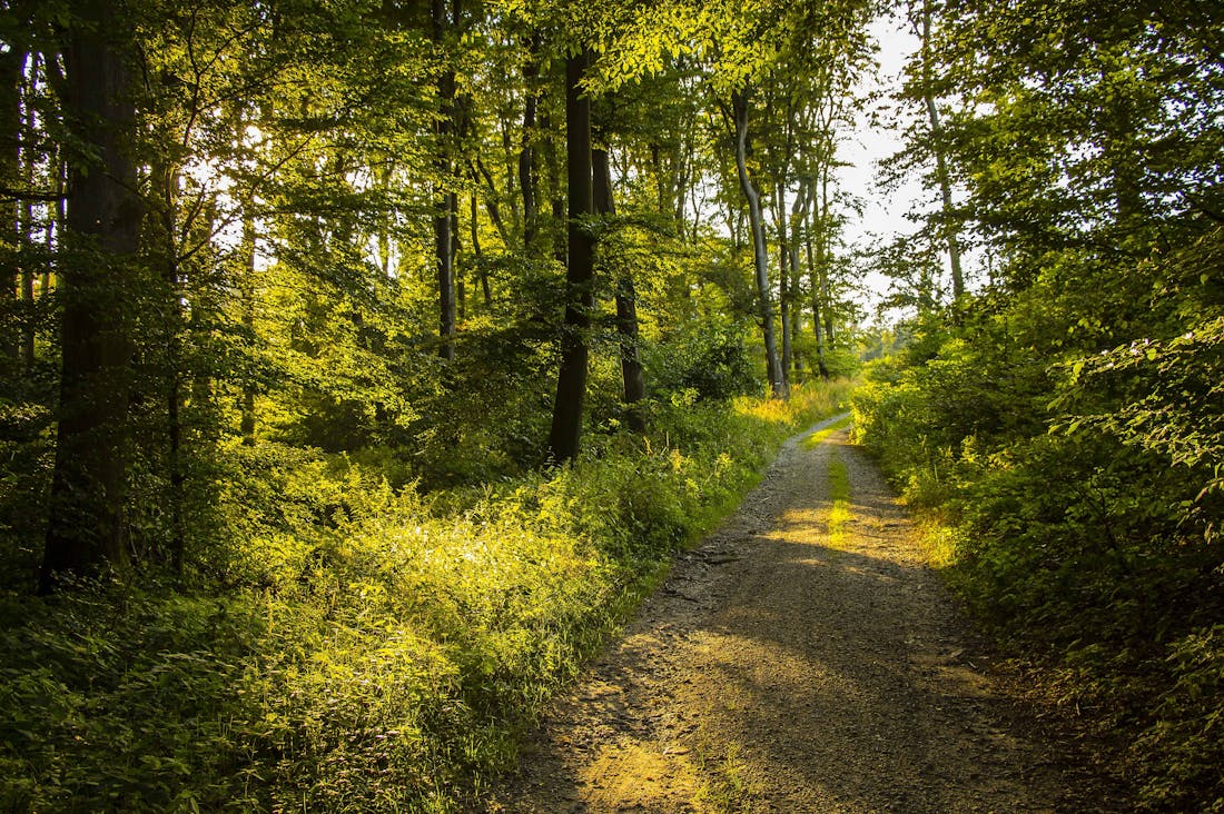 Financial Freedom: Understanding the Key Principles of Wealth Management for Lifelong Security Image 2