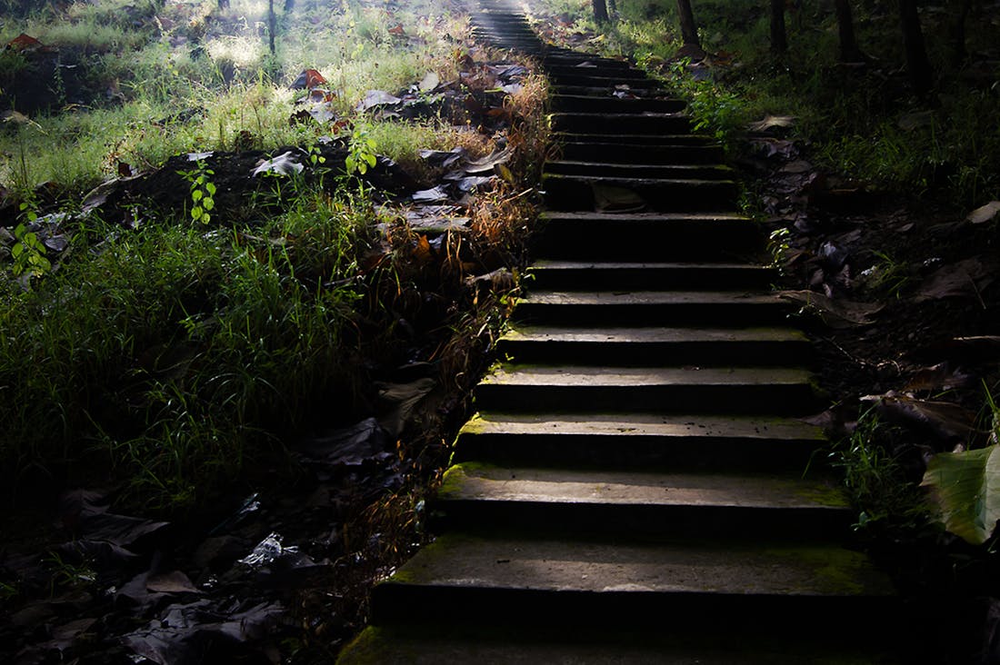 Financial Independence: Strategies to Achieve Your Dreams without Sacrificing Your Lifestyle Image 2