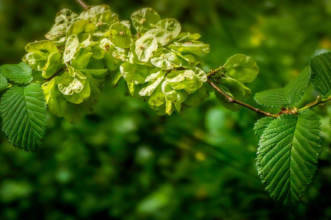 Financial Wellness: Cultivating a Mindful Approach to Money Management and Savings Image 3