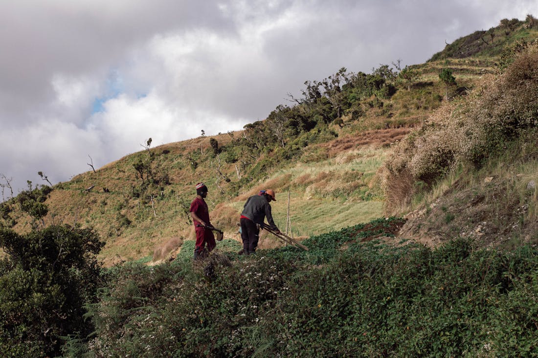 Finding Balance: How to Integrate Work, Life, and Personal Growth in a 24/7 Society Image 3