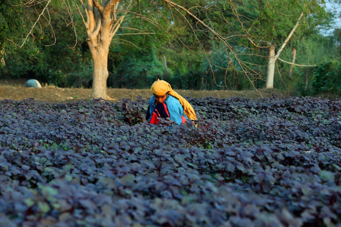 Finding Balance: How to Integrate Work-Life Harmony into Your Daily Routine Image 3