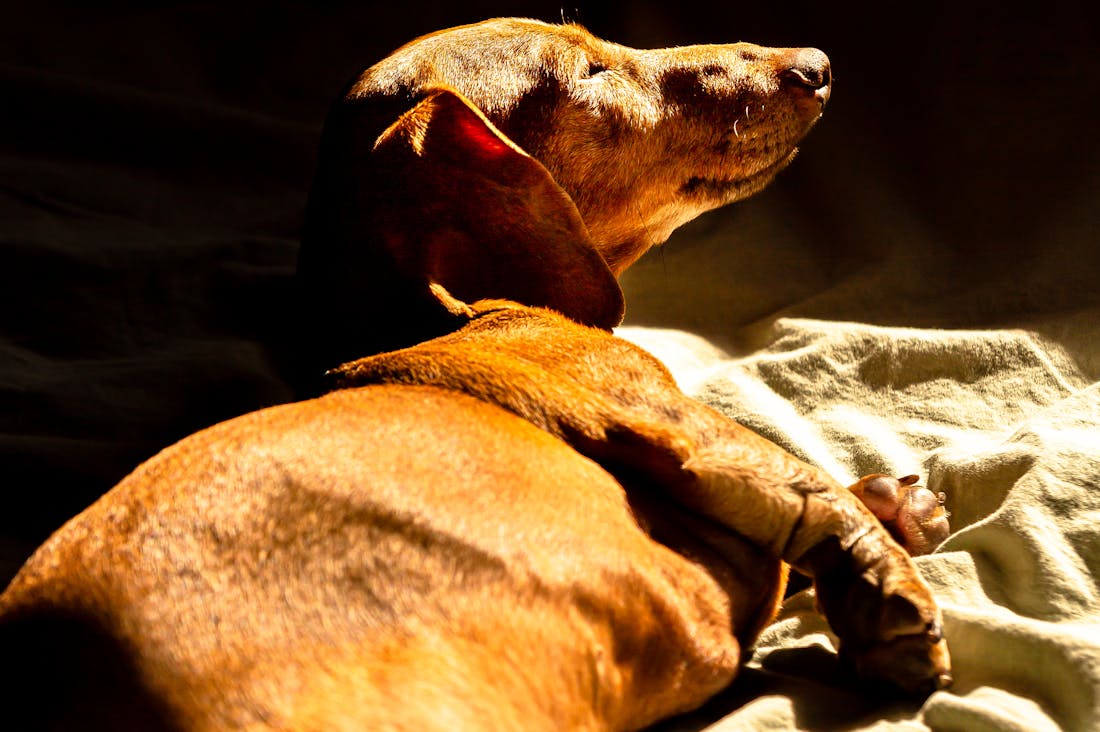 Finding Balance in a Fast-Paced Lifestyle Image 3