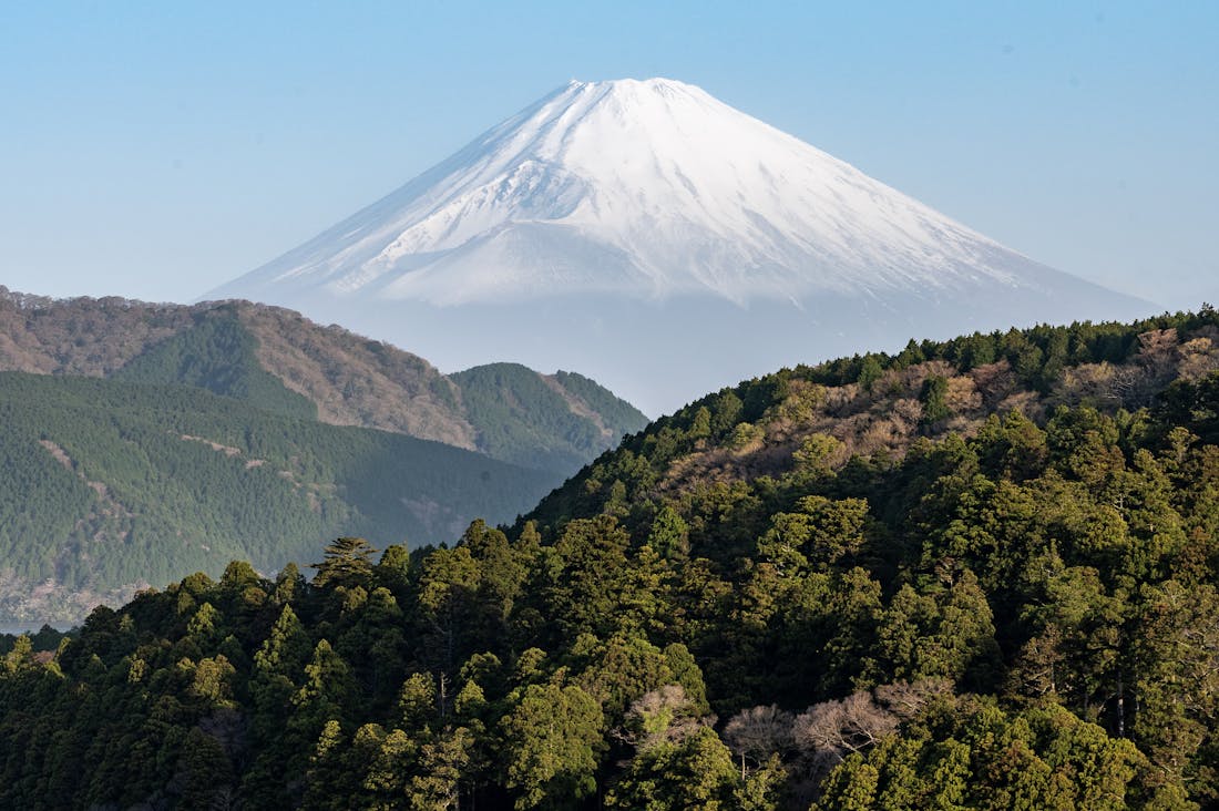 Finding Joy in Minimalist Travel: Tips for a Meaningful Journey Image 2