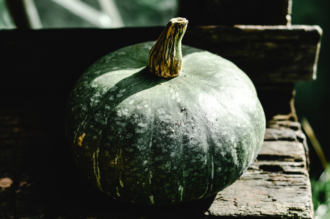 Fresh Perspectives on Sustainable Living and Modern Practices Image 1