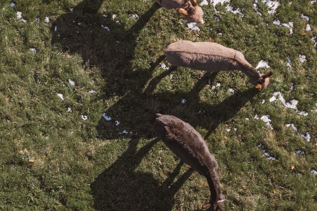 General Tips for Effective Personal Budgeting and Saving Image 2