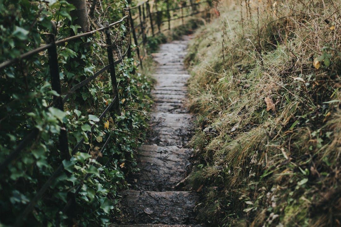 Green Economics: Transforming Your Finances with Sustainable Living Practices Image 3