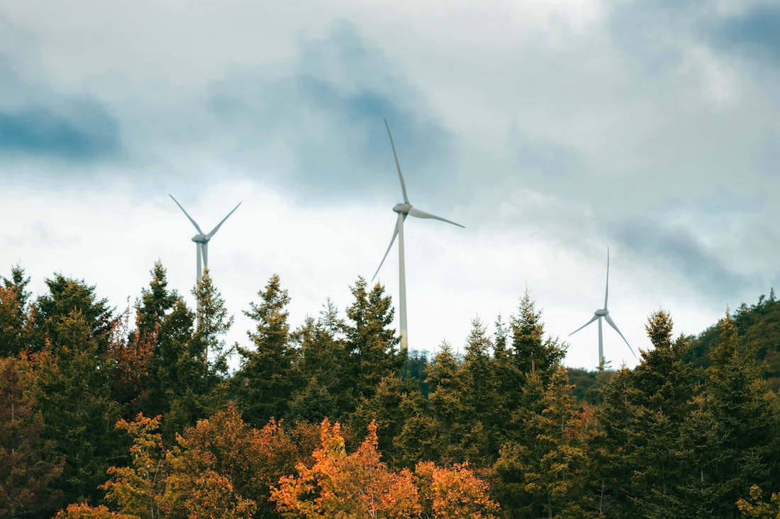 Harnessing Technology for a Sustainable Lifestyle: Innovations That Make a Difference Image 3