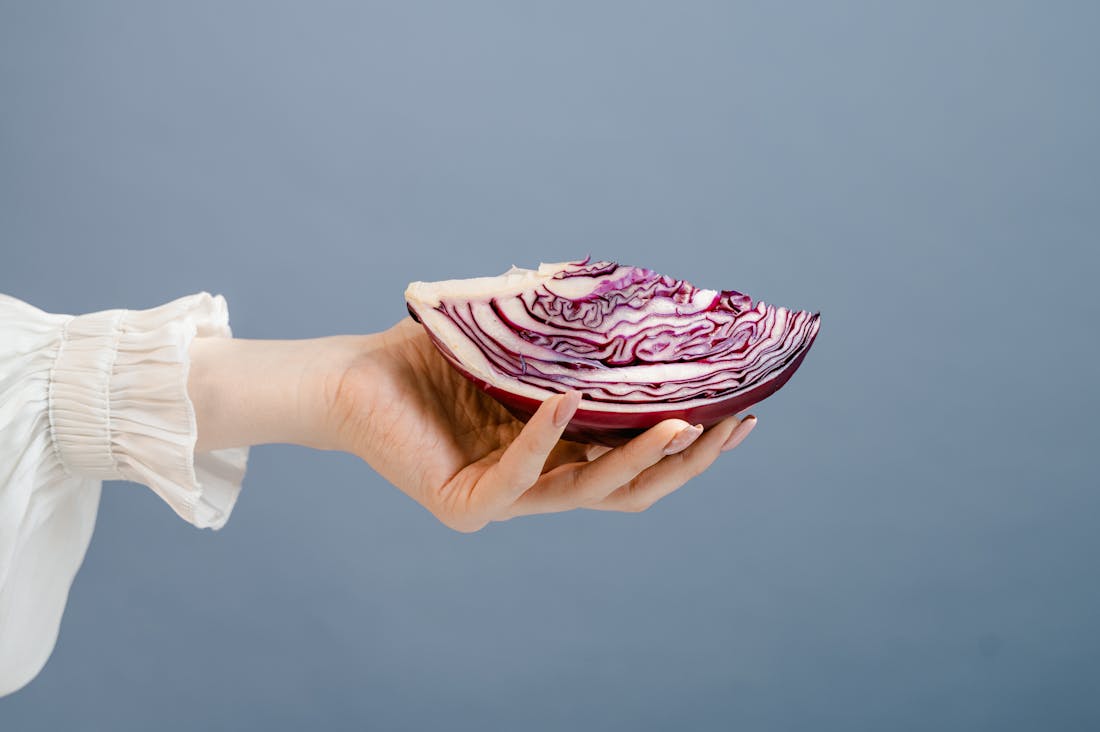 Health Benefits of a Plant-Based Diet Everyone Should Know Image 1